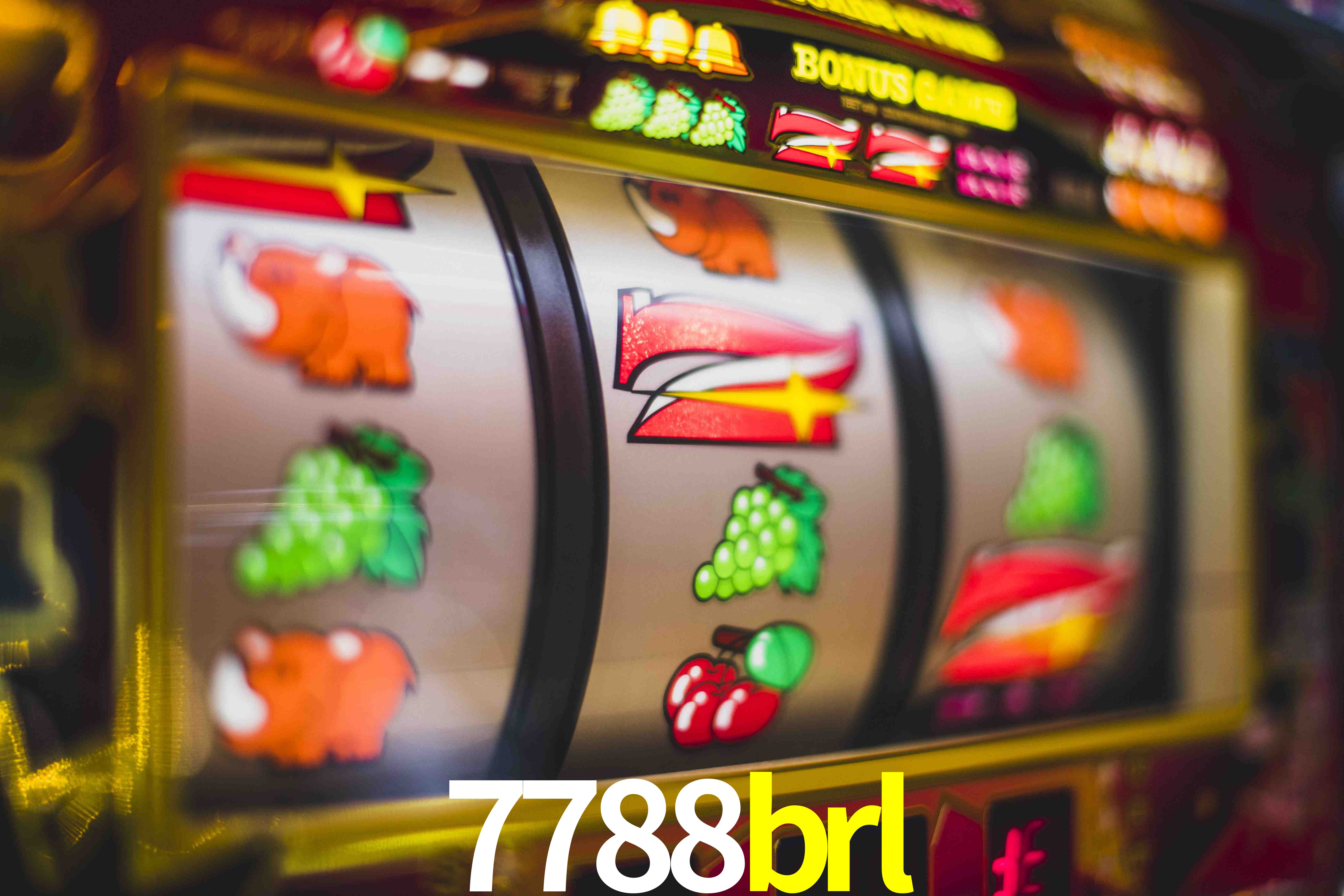 Sports Statistics 7788brl